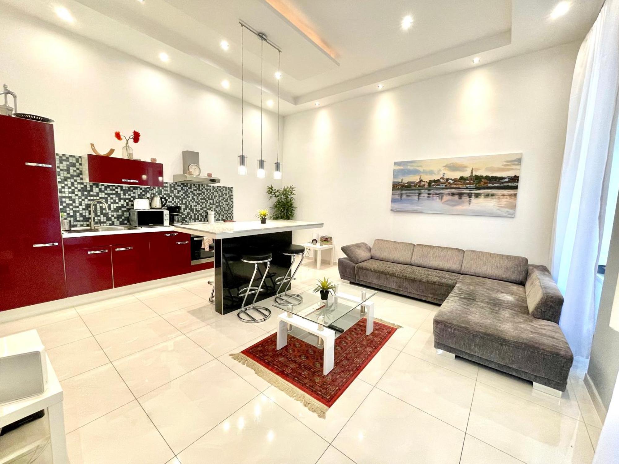 Amazing Swedish 3 Rooms Apartment In The City Center 布达佩斯 外观 照片