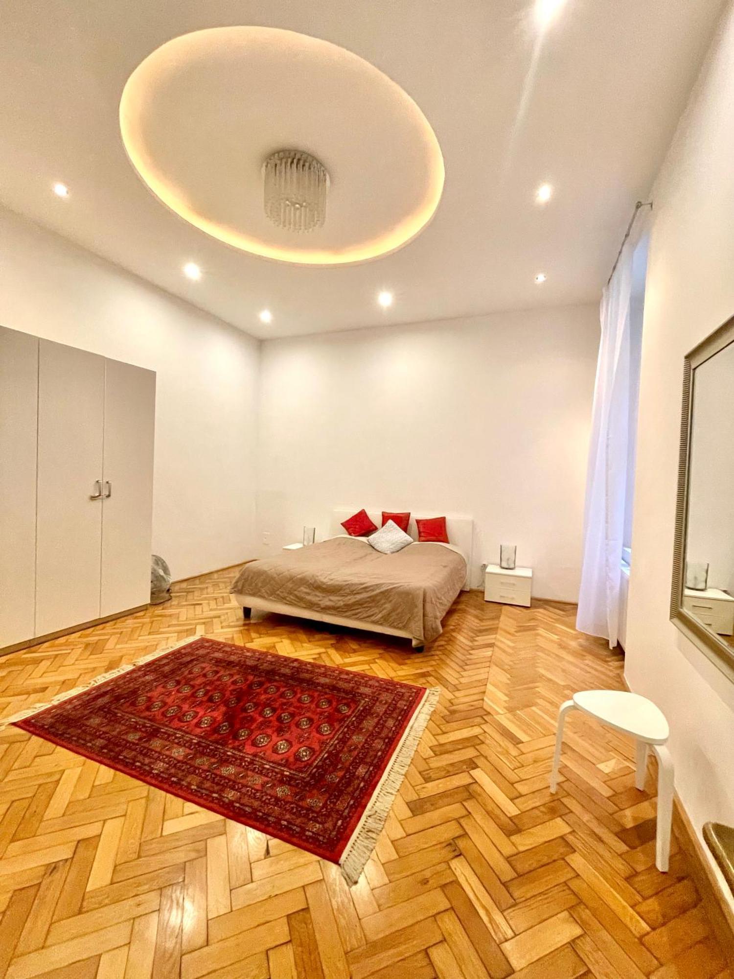 Amazing Swedish 3 Rooms Apartment In The City Center 布达佩斯 外观 照片
