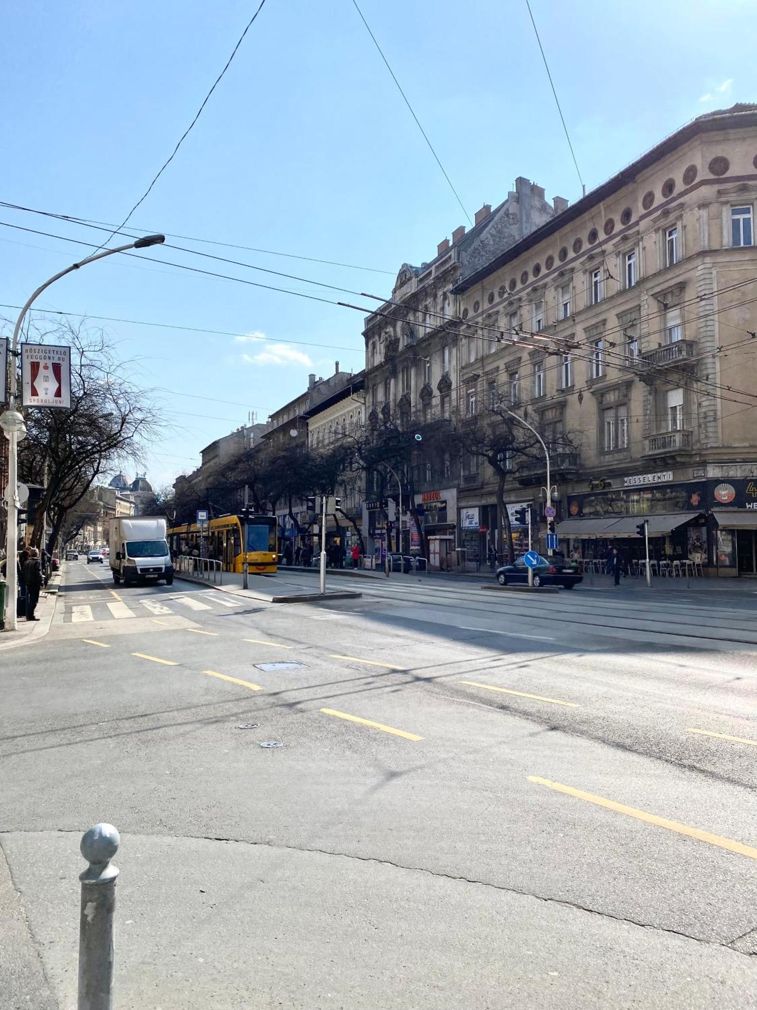 Amazing Swedish 3 Rooms Apartment In The City Center 布达佩斯 外观 照片