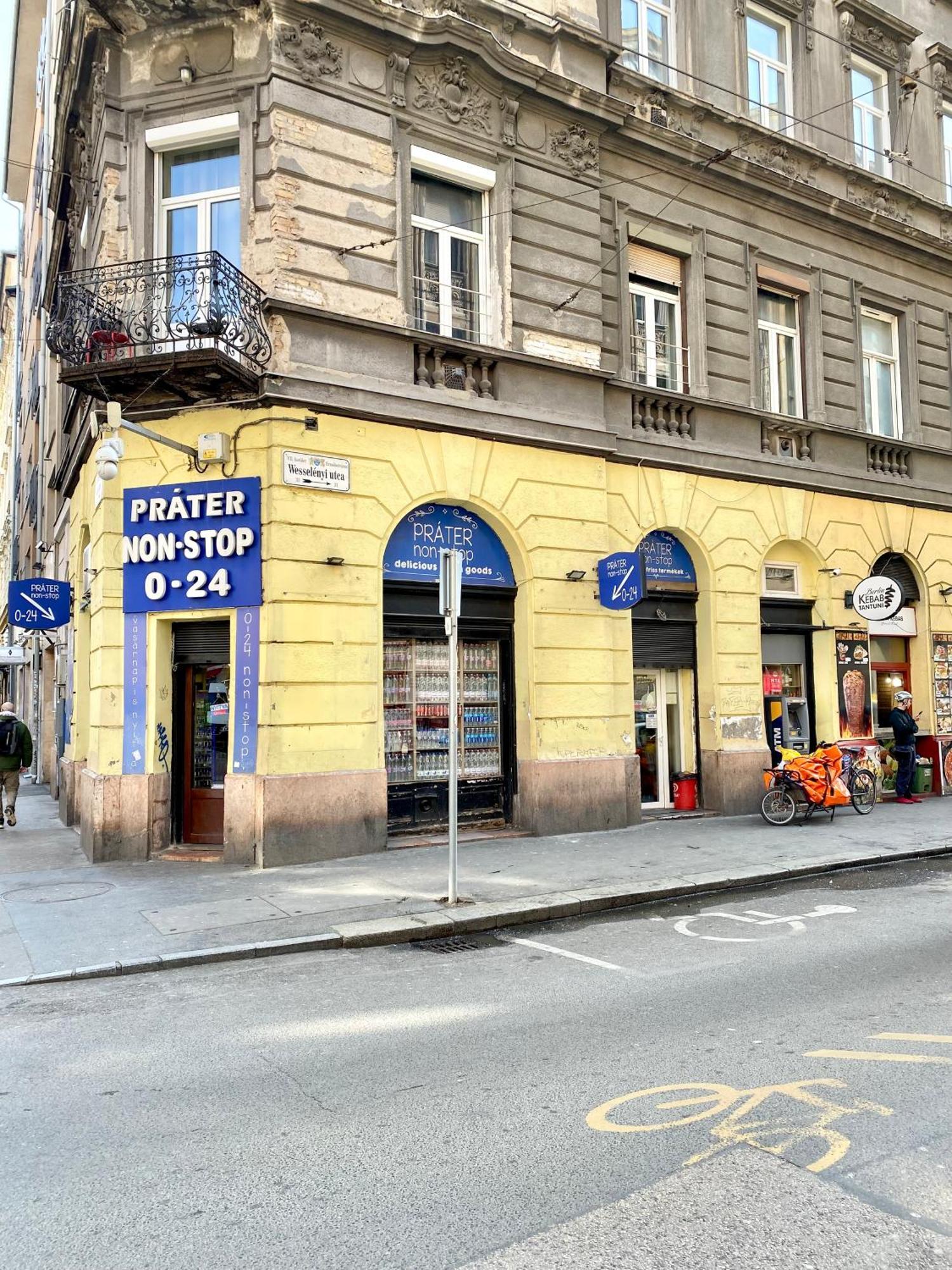 Amazing Swedish 3 Rooms Apartment In The City Center 布达佩斯 外观 照片